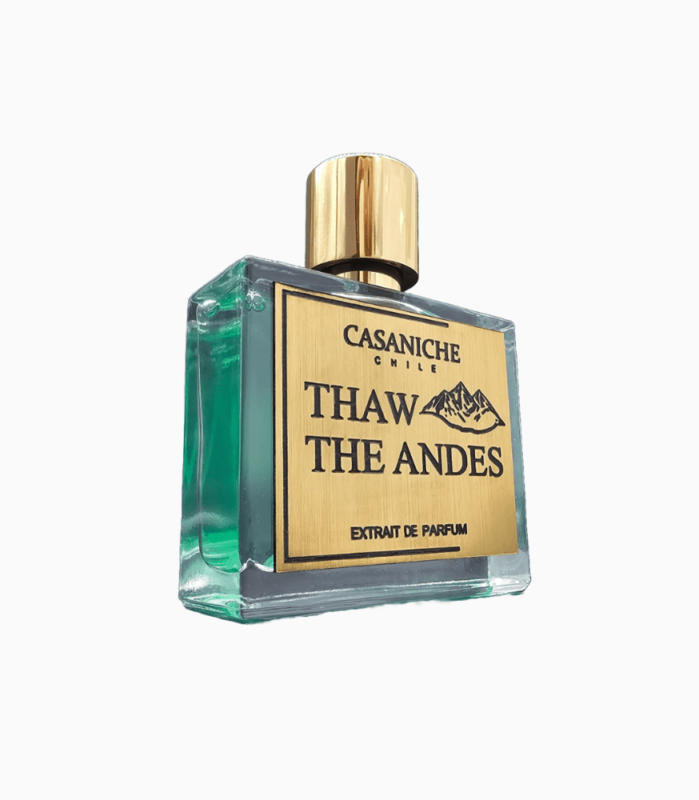 Thaw the andes - casaniche
