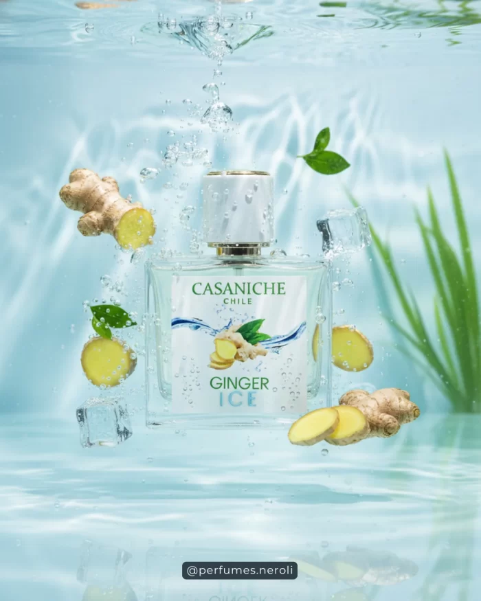 Ginger ice casaniche