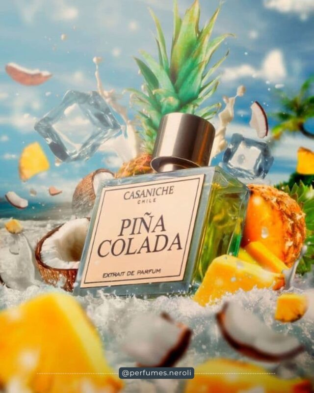 Piña colada casaniche