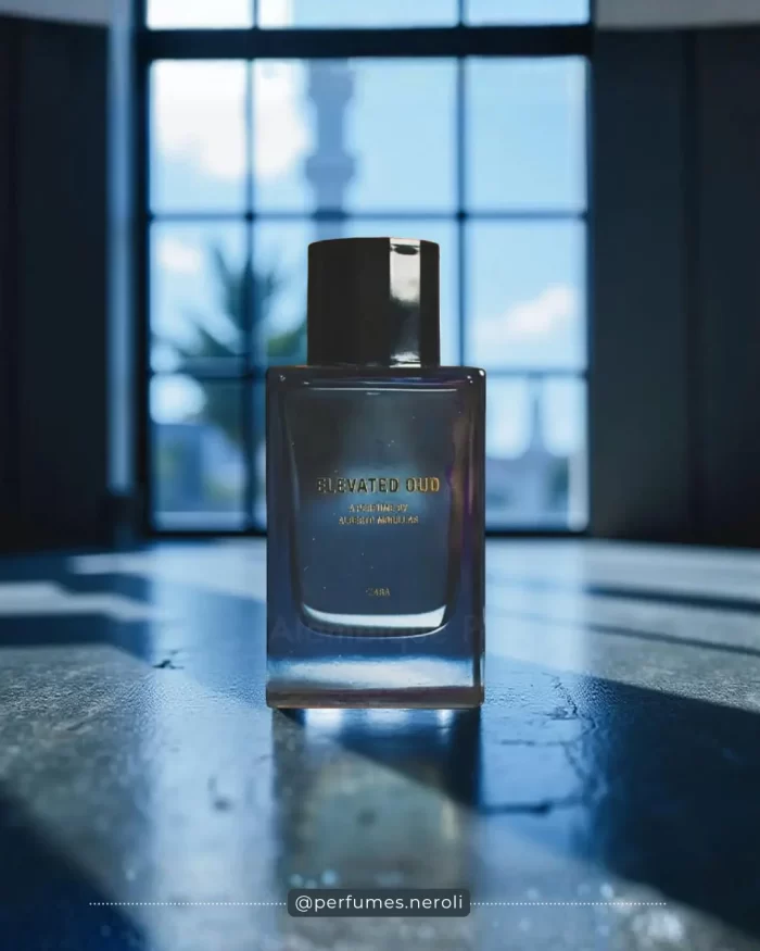 Elevated oud Zara - Coleccion alberto morillas