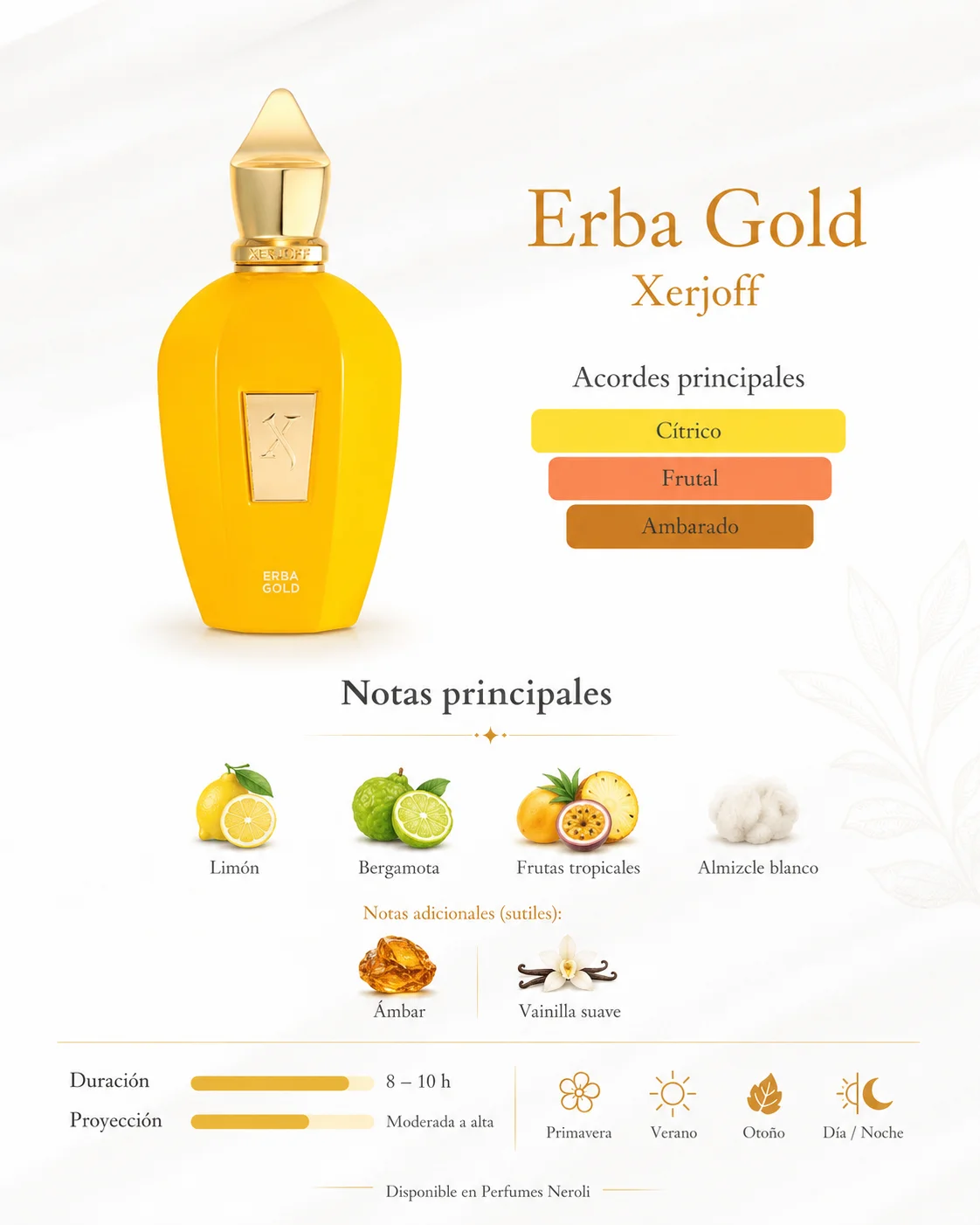 erba gold xerjoff notas olfativas